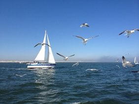 navigation assup malo naviguer avec l'ASSUP Malo
