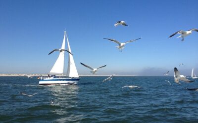 Les plaisanciers de Saint-Malo rallient la flottille des Old Gaffers
